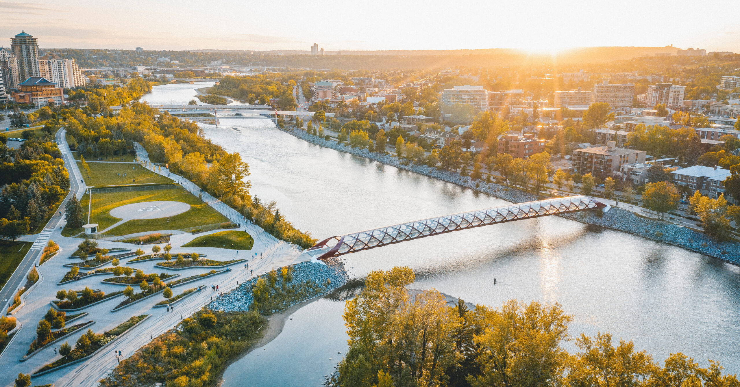 Google Business Profile in Calgary